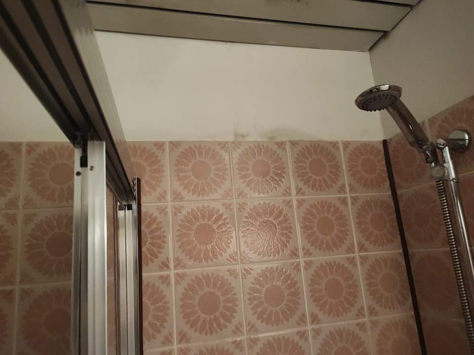 Sonstiges Siegerland Hotel Haus im Walde