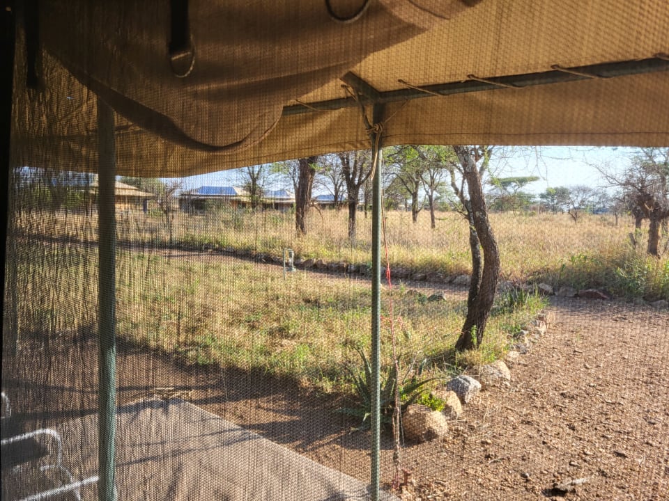 Ausblick Serengeti Wild Camp