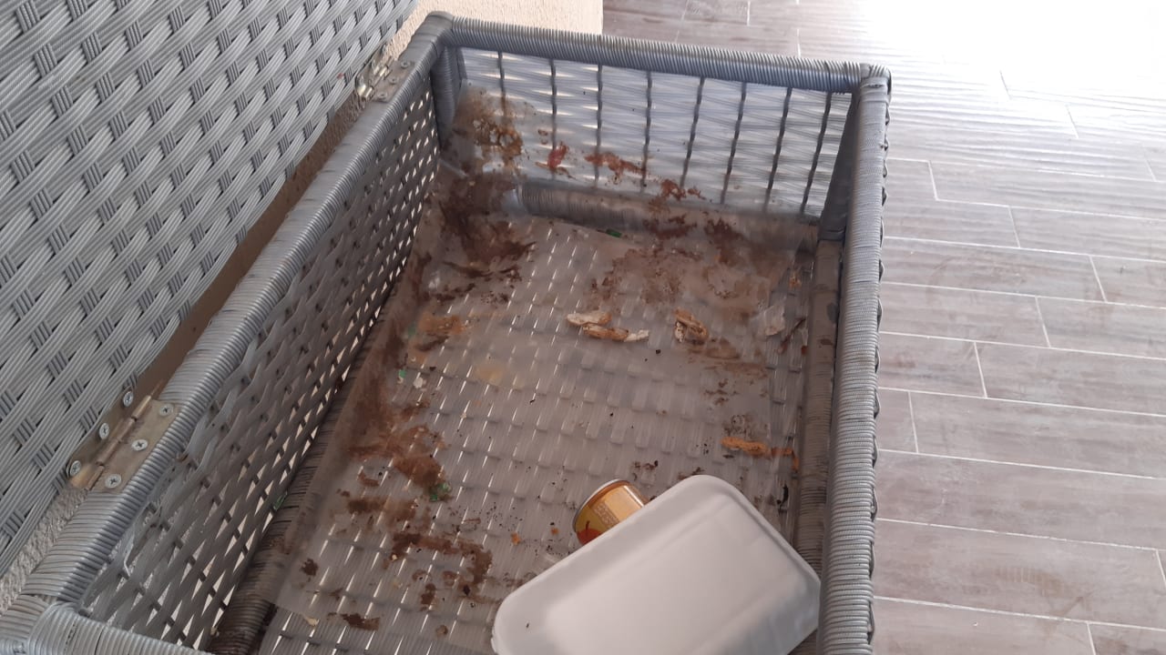 Zimmer Pyramisa Beach Resort Sahl Hasheesh