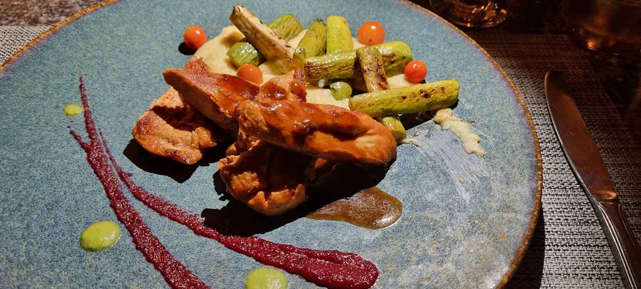 Gastro JAZ Elite Asteria