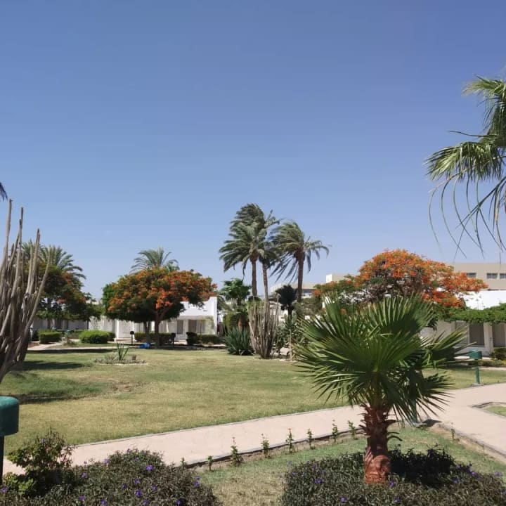 Gartenanlage Shams Safaga Resort