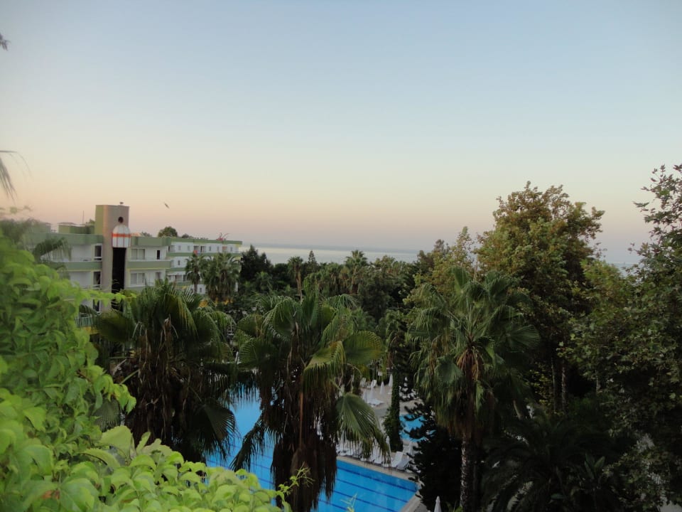 Забралась высоко, но это только малая часть отеля Botanik Hotel & Resort