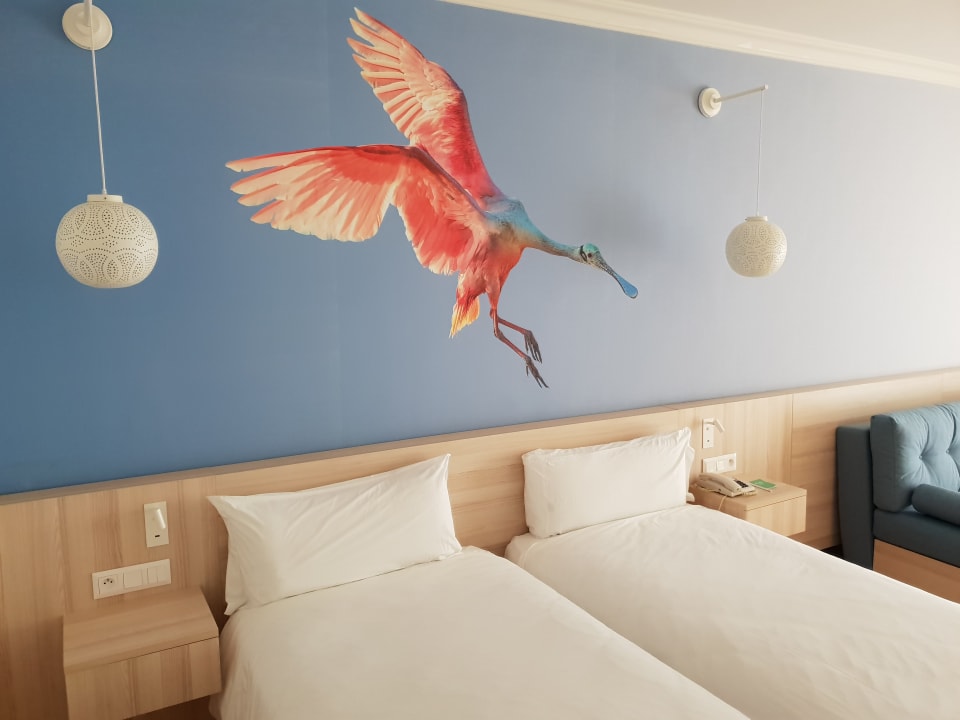 Zimmer Iberostar Waves Founty Beach