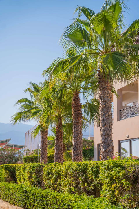 Gartenanlage Grand Hotel Holiday Resort