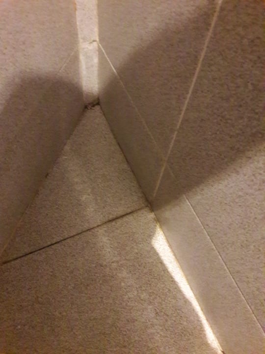 Zimmer Melia La Palma Hotel