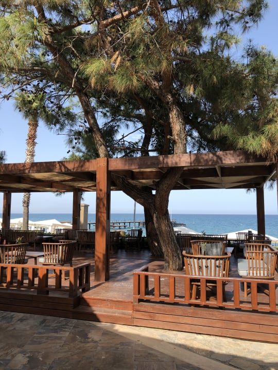 Gastro TUI MAGIC LIFE Beldibi +16