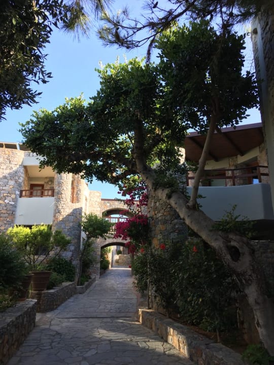 Gartenanlage Ikaros Beach Luxury Resort & Spa - Adults Only