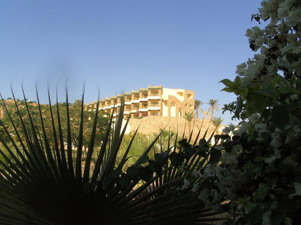 Erhöht liegender Zimmerblock Brayka Bay Resort