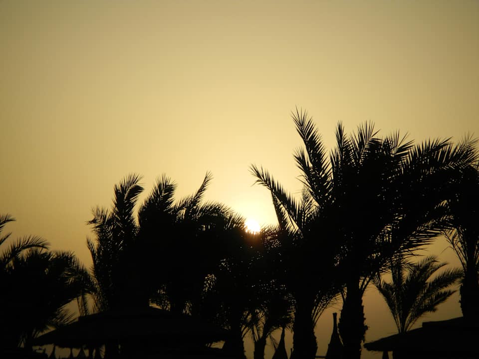 Sonnenaufgang Pickalbatros Palace Resort