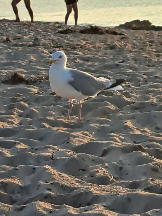 Sonstiges Ferienwohnungen Ferienpark Weissenhäuser Strand