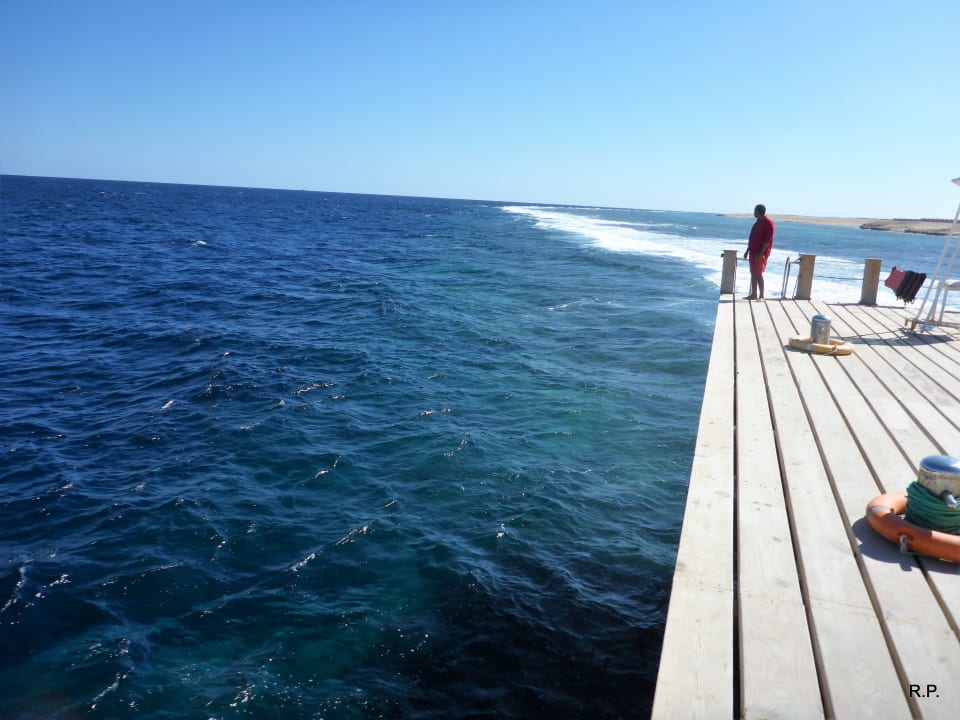 Strand Pickalbatros Sea World Resort - Marsa Alam