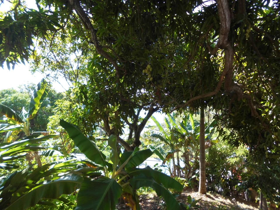 Ausblick Ozeanic Caribbean Hotel Apartment