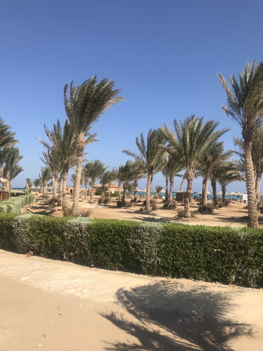 Gartenanlage Stella Beach Resort & Spa Makadi Bay