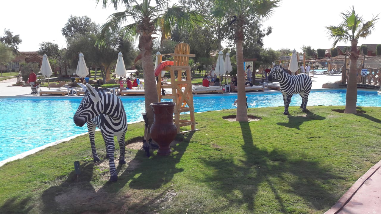 Zebra Pickalbatros Jungle Aqua Park Resort - Neverland Hurghada