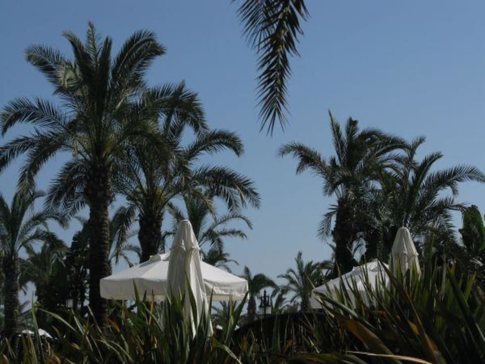 Impressionen aus der Anlage Sunis Kumköy Beach Resort Hotel & Spa