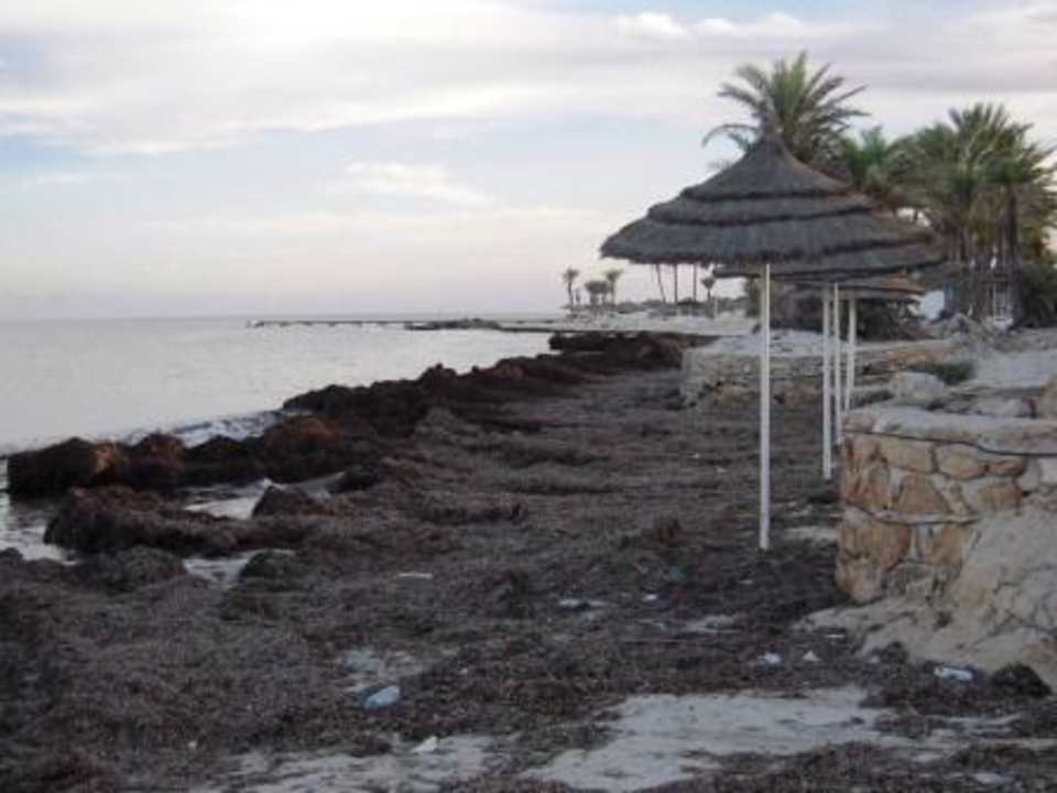 Strand von Djerba Menzel! Hotel El Mouradi Djerba Menzel