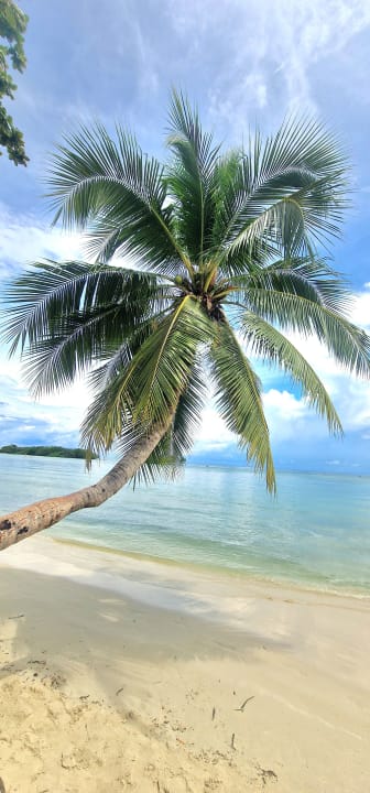 Ausblick Dara Samui Beach Resort