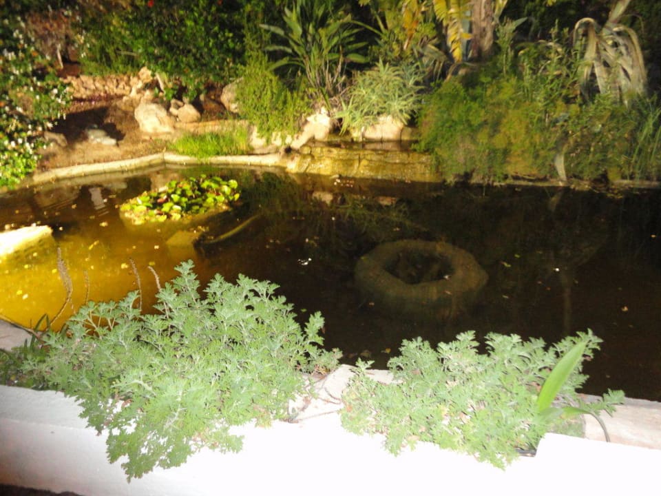 Eigener Hotelteich Hotel Grecian Sands