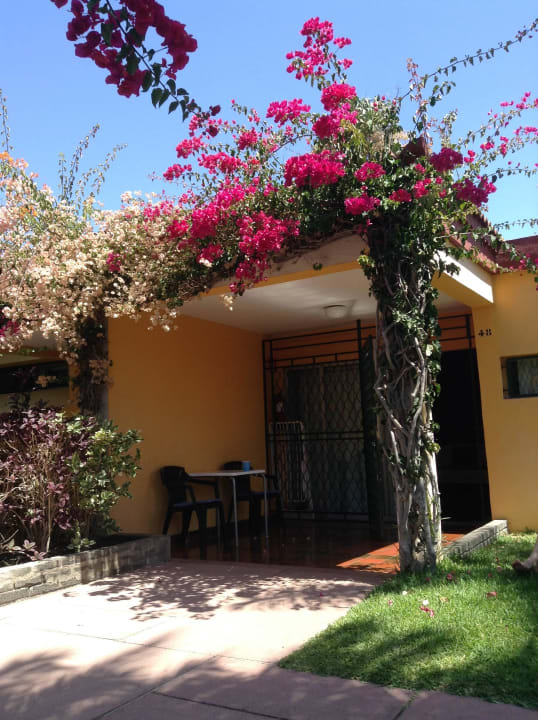 Xxx Gay Bungalows Artemisa Artemisa Gay Bungalows