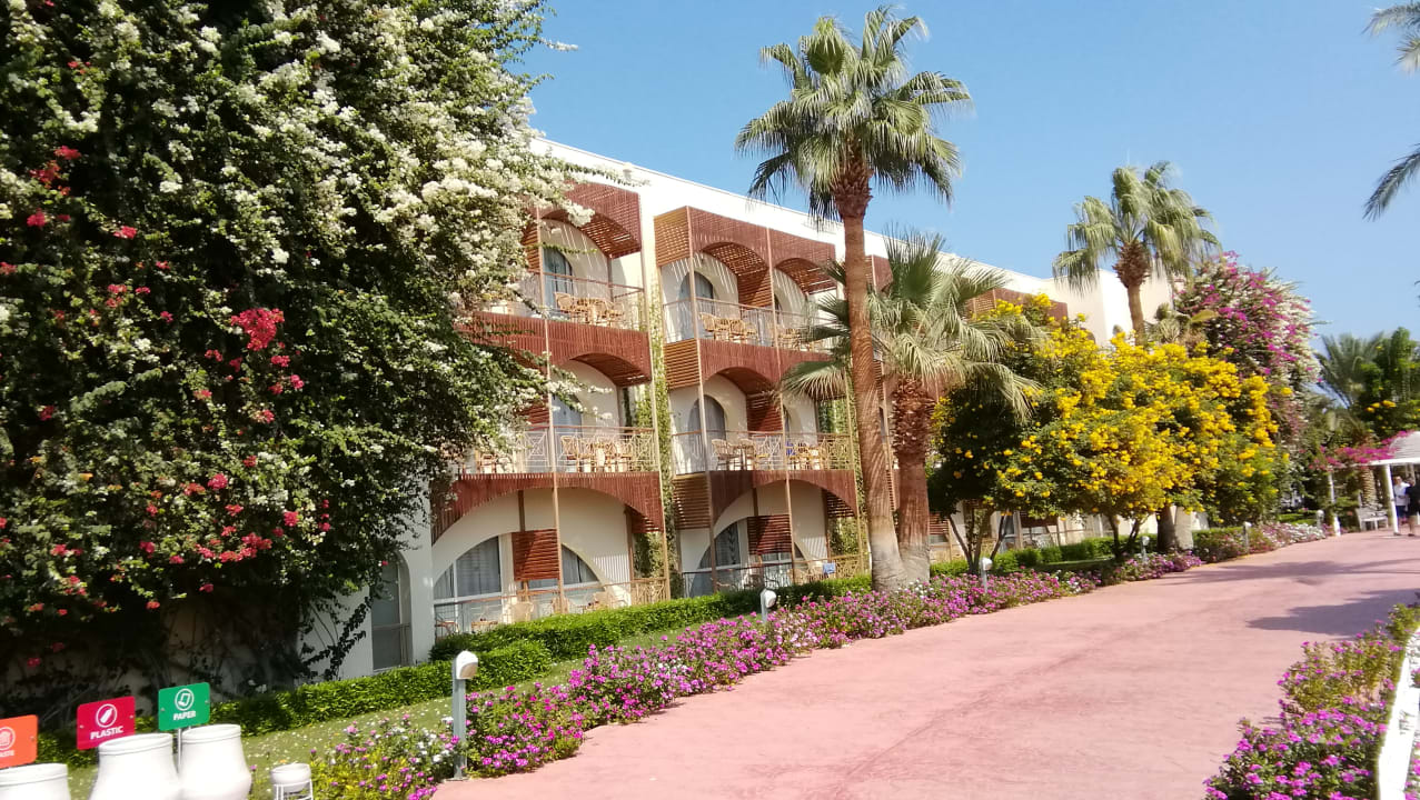 Außenansicht Desert Rose