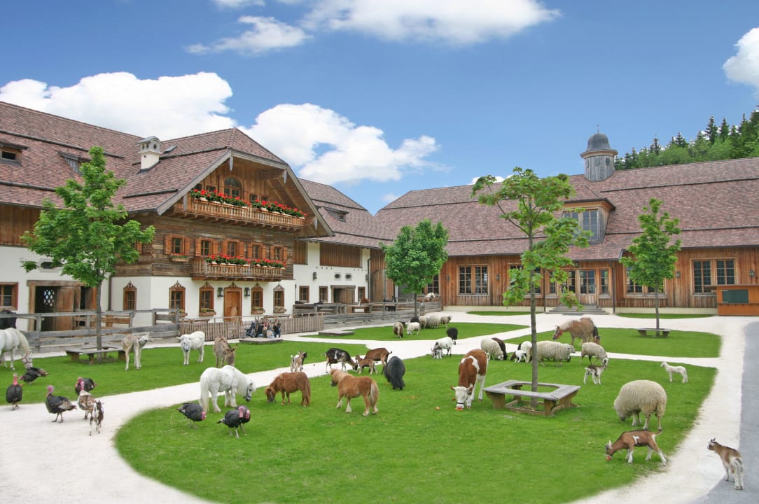 Sport & Freizeit Jugendgästehaus/Youth Hostel Mondsee