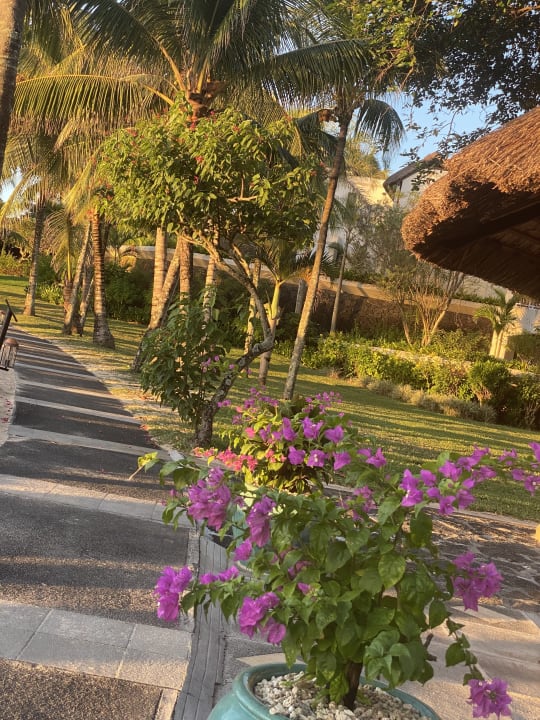 Gartenanlage Maritim Resort & Spa Mauritius