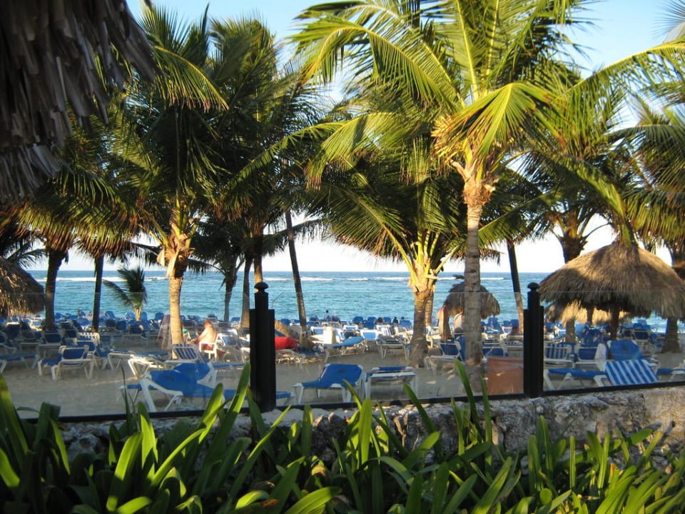 Пляж и пальмы Bahia Principe Luxury Ambar