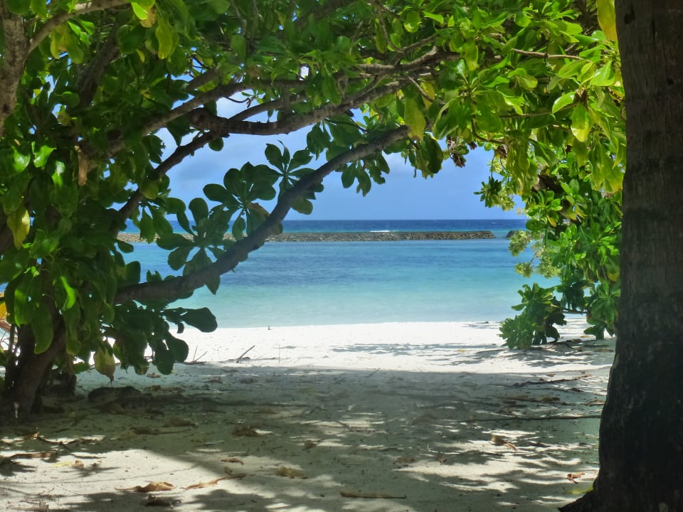 Strand Kuredu Island Resort & Spa