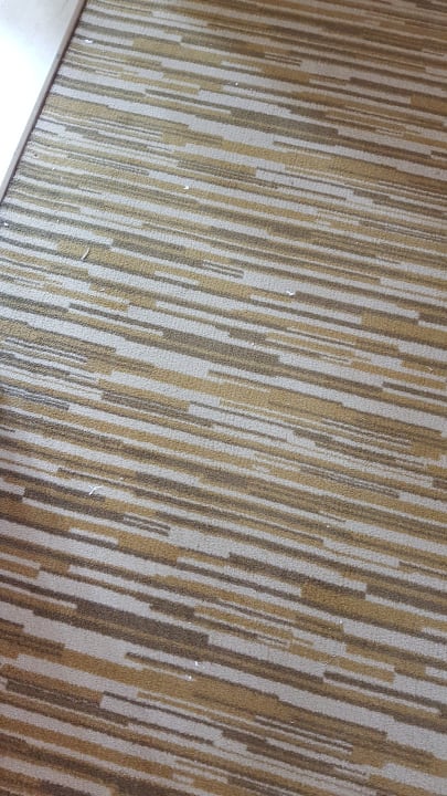 Saugen? Fehlanzeige  Salamis Bay Conti Resort Hotel & Casino