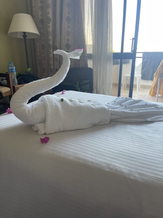 Zimmer Three Corners Equinox Beach Resort