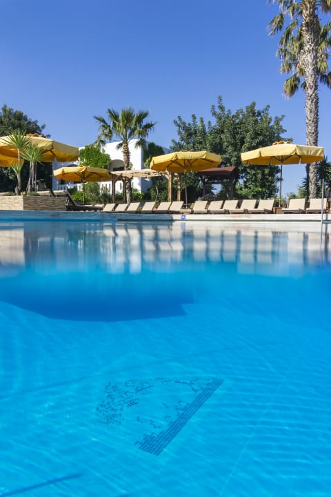 Pool Gaia Garden Hotel