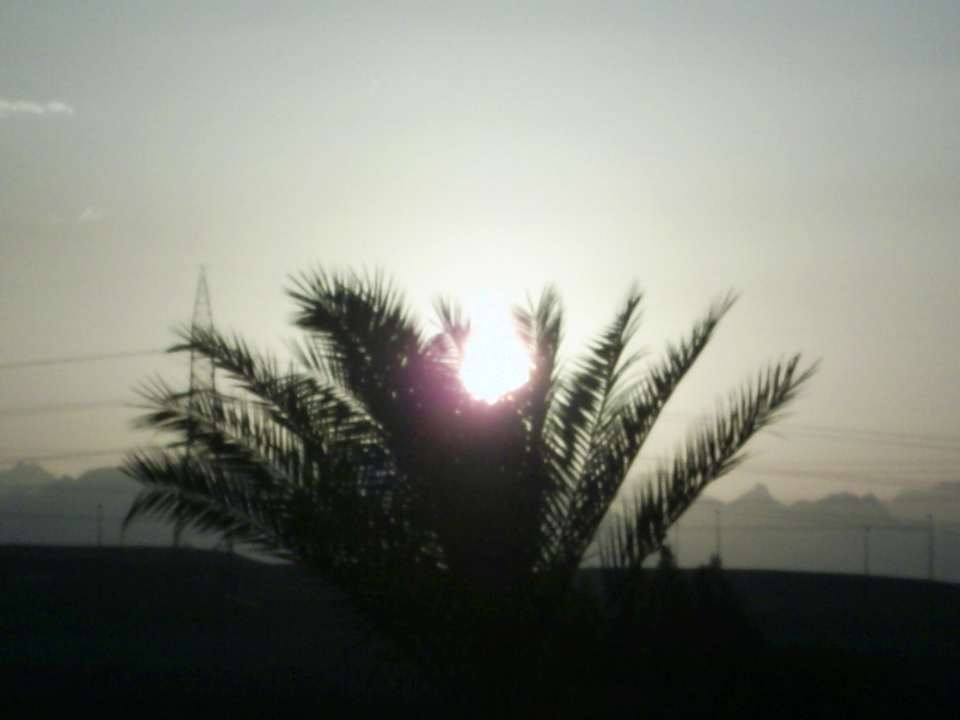 Sonnenuntergang Pickalbatros Palace Resort