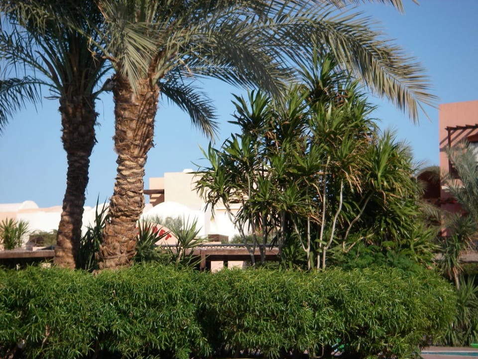 Островок Jaz Makadi Saraya Resort