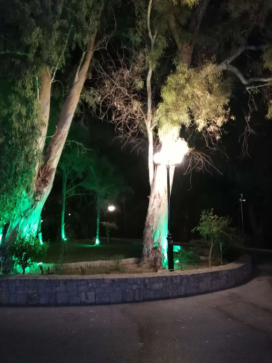 Außenansicht Apollonia Beach Resort & Spa