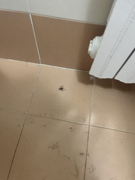 Zimmer Porto Letizia Villa Ortensia 3