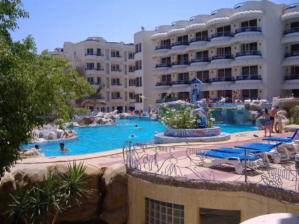 Blick aus unserem Zimmer Seagull Beach Resort