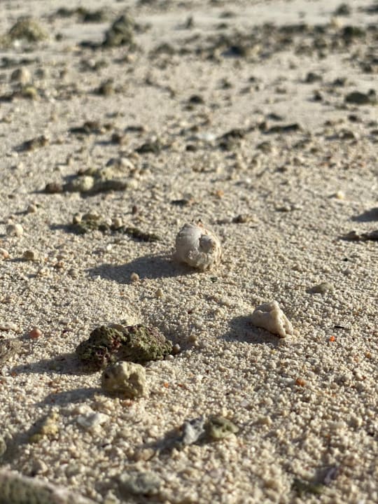 Strand Cinnamon Dhonveli Maldives