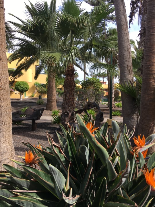 Außenansicht Atlantic Garden Beach Mate