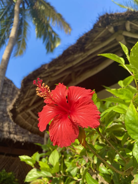 Außenansicht Sultan Sands Island Resort & Spa