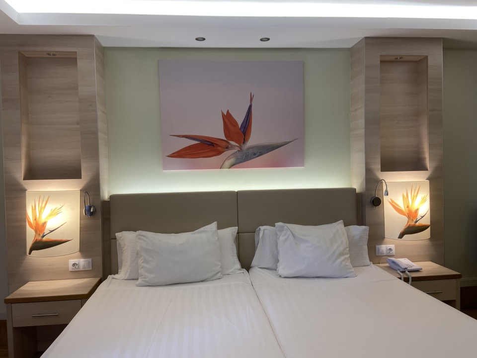 Zimmer Bull Costa Canaria & Spa - Adults only