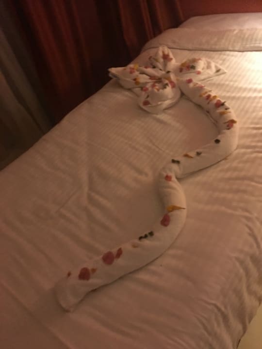 Zimmer Riviera Aqua Park Resort