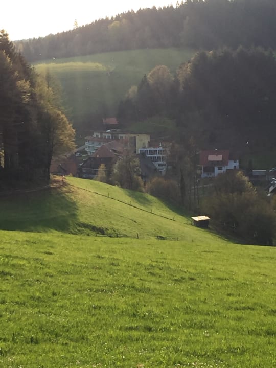 Hotel Adler Naturparkhotel Adler