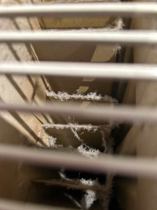 Zimmer Hotel zur Heideblüte