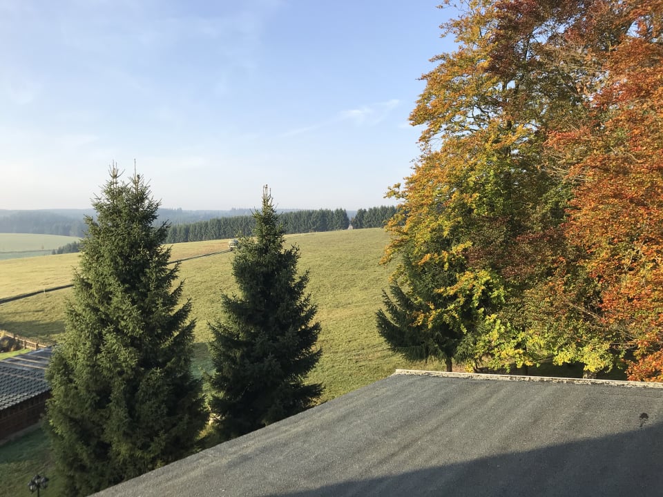 Ausblick waldhotel AUSZEIT