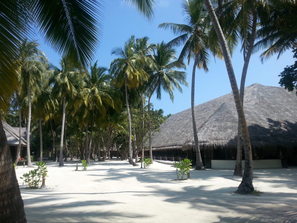 Rezeption / Geschenkeshop Meeru Maldives Resort Island