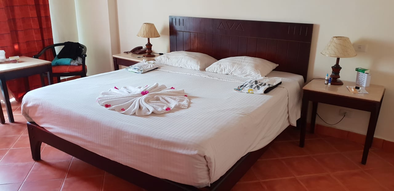 Zimmer Three Corners Sea Beach Resort