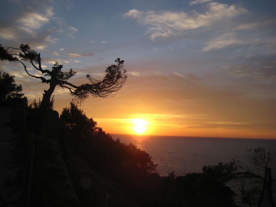 Sonnenuntergang Port de Soller Hotel Eden Soller
