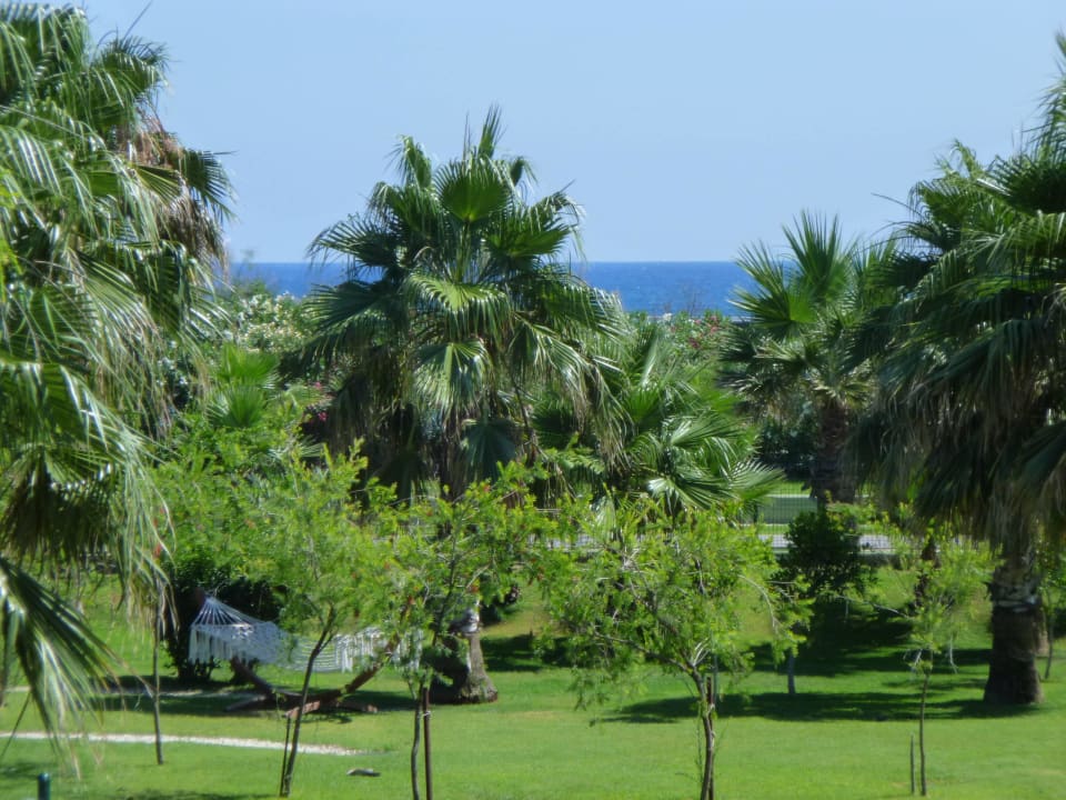 Von der Snackbar VONRESORT Golden Coast