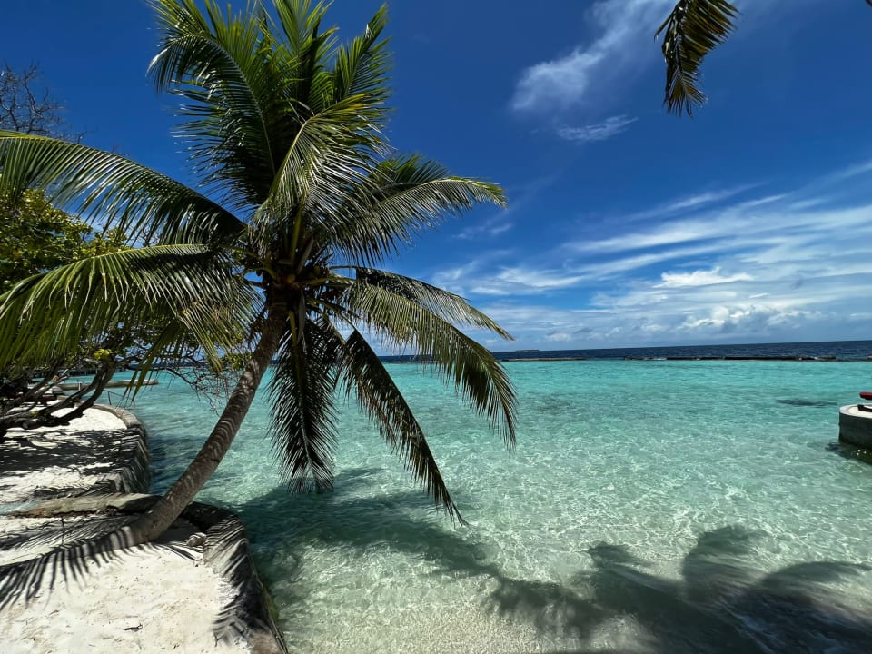 Ausblick Ellaidhoo Maldives by Cinnamon