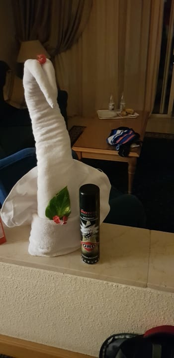 Zimmer Hotel Riu Palace Jandia